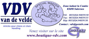 logo 2005 VDV